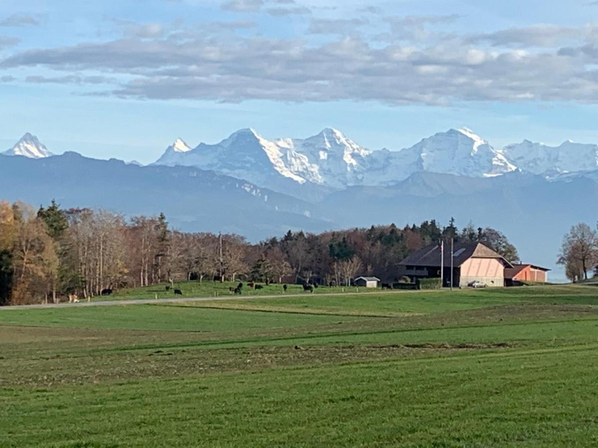 Mountain Home - Ein Aufenthalt Mit Weitblick Niedermuhlern Экстерьер фото